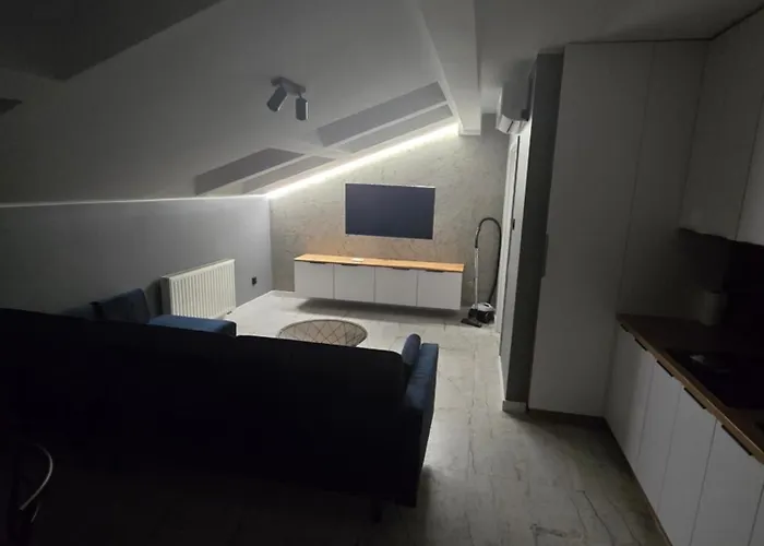 W Centrum Z Jacuzzi, Prywatny Parking, Klimatyzacja 4 Apartament Radom